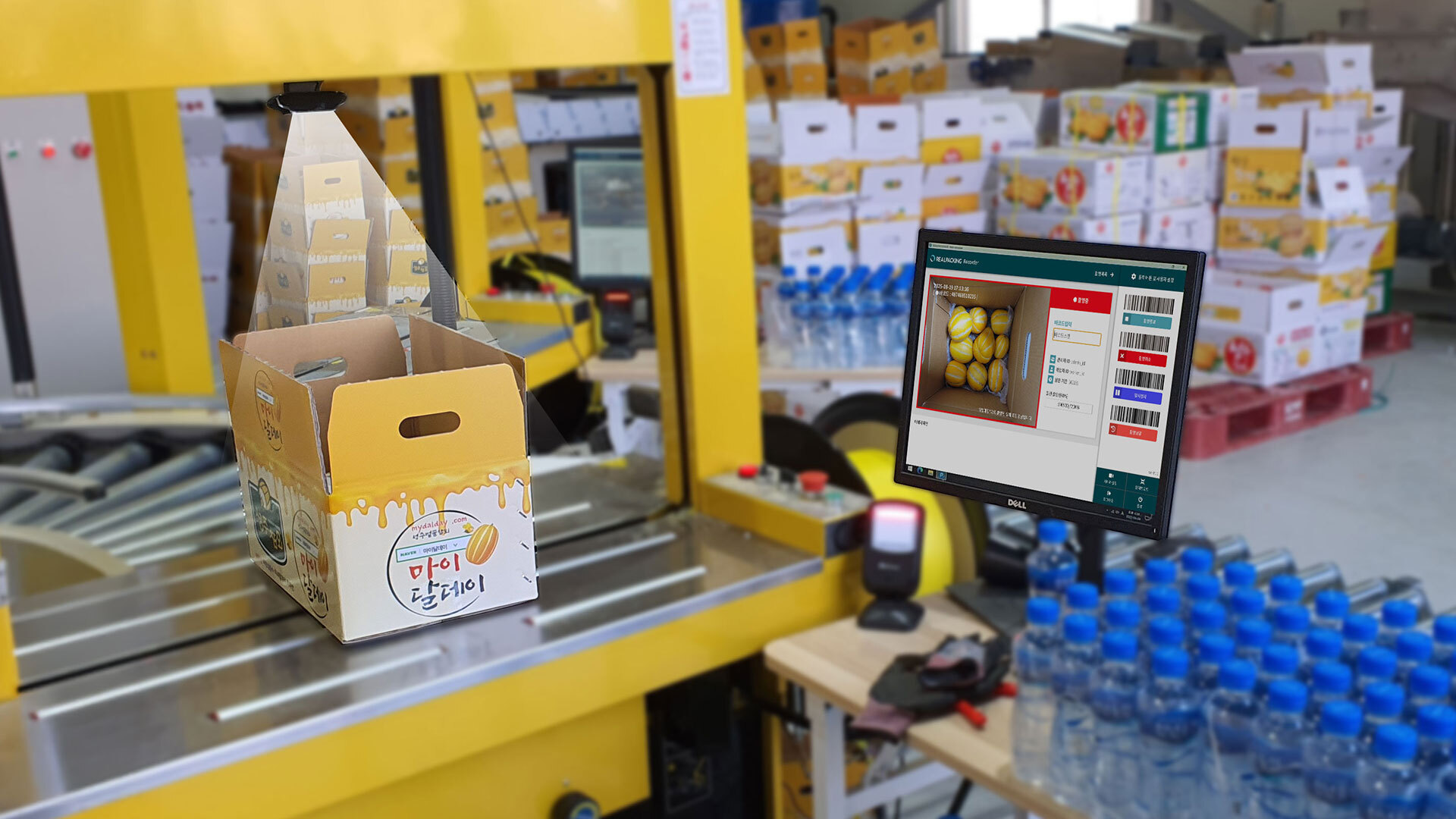 오늘의 인사이트 썸네일